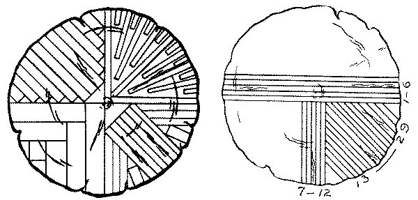 Fig. 56. Methods of Sawing Quartered Logs.