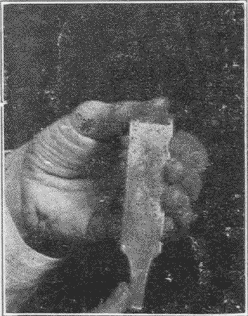 Fig. 79. Testing the Sharpness of a Chisel.