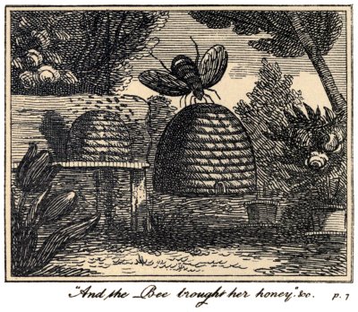 "And the Bee brought her honey," &c. p. 7