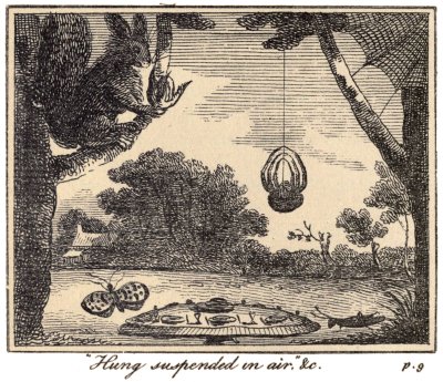 "Hung suspended in air." &c. p. 9