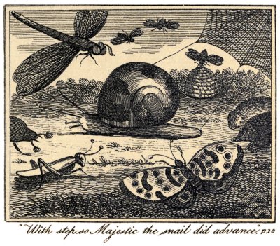 "With step so Majestic the snail did advance." p. 10