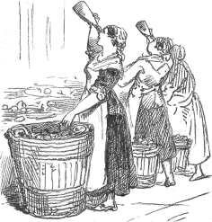 women examining clean bottles