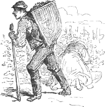 man with basket of grapes on his back
