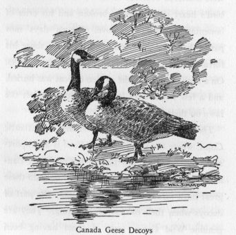 Canada Geese Decoys