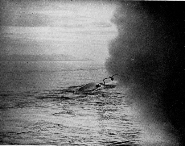 Finback Whale being struck with the Harpoon; the instant of discharge.