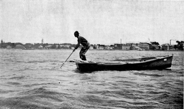 Clammer Raking for Quahaugs in New Bedford Harbor.