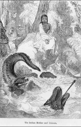 The Indian Mother and Caiman