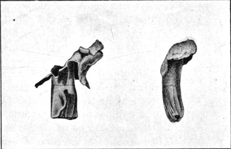 Fig. 32.