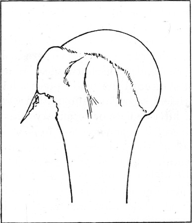 Fig. 53.