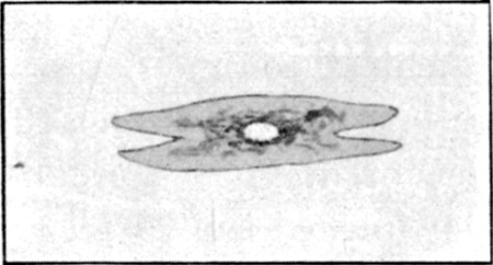Fig. 63.