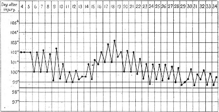 Temperature Chart 3.
