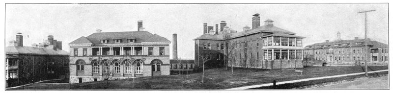 Panoramic View of the Old Hospitals