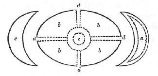 Fig. 39.