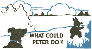 WHAT COULD PETER DO?