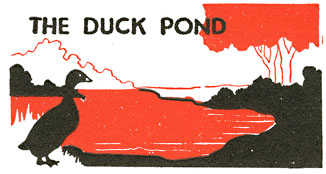 THE DUCK POND