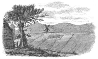 Sketch of Litlington Field, (reprinted from "Archæologia").