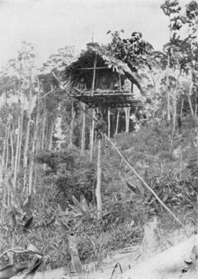 Tree hut, Ulu Batu, about twelve miles from Kuala Lumpur, Selangor (from
Skeat and Blagden's "Pagan Races of the Malay Peninsula")