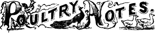 Poultry Notes.