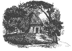 CABIN WITH THATCHED ROOF