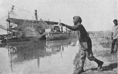 Fishing By Net On The Tigris