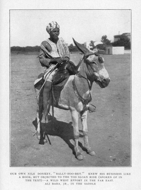 OUR OWN NILE DONKEY, "BALLY-HOO-BEY."  KNEW HIS BUSINESS LIKE A BOOK, BUT OBJECTED TO THE TOD SLOAN RIDE (SPOKEN OF IN THE TEXT)--A WILD WEST EFFORT IN THE FAR EAST.  ALI BABA, JR., IN THE SADDLE