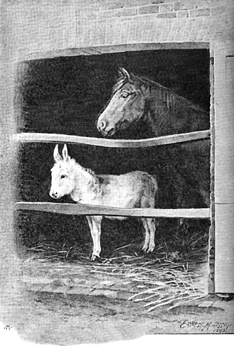 chestnut charger of the late emperor frederic of germany,
and "ninette," the princess victoria's little white donkey.