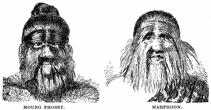 Head and shoulders engravings of a man and a woman whose faces are completely covered with well-groomed hair.