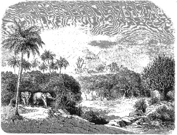 Contre des Schelouks sur le Saubat.