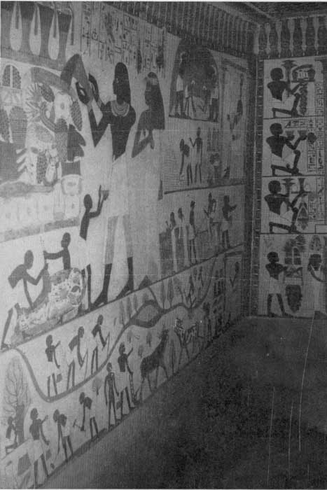 Plate 15

WALL-PICTURES IN A THEBAN TOMB. Pages 80, 81