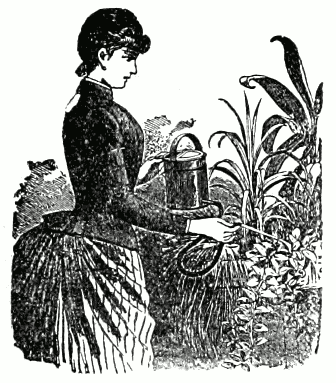 Heinemann'sche Zimmergießkanne