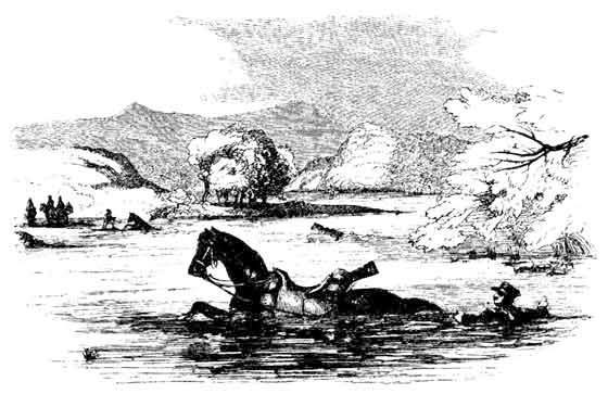 SWIMMING A HORSE