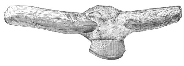 Fig. 251—Stone implement from Honanki