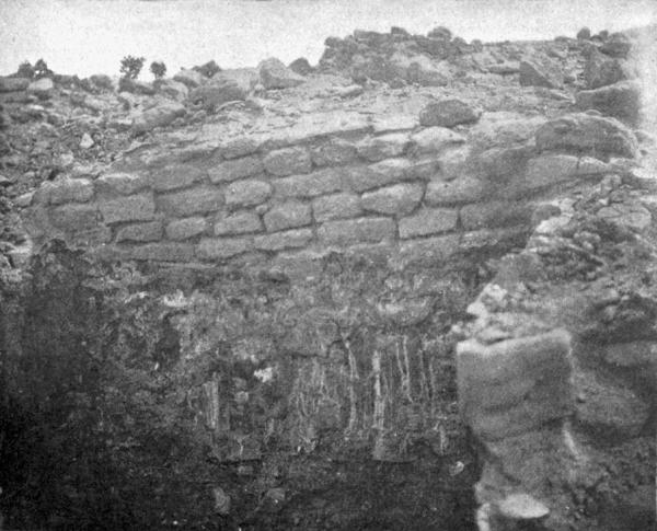 Fig. 256—Structure of house wall of Awatobi