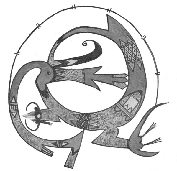 Fig. 269—Unknown reptile