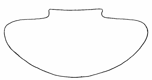 Fig. 270—Outline of plate CXXXV, b