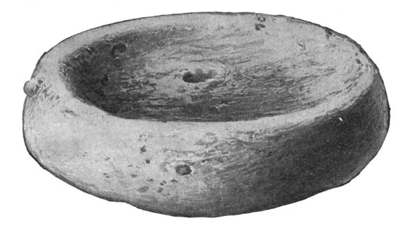 Fig. 356—Kaolin disk (natural size)