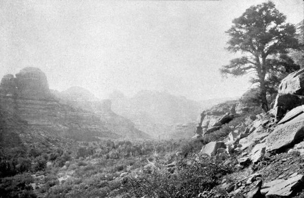 PL. XCVIII—
THE RED ROCKS; TEMPLE CANYON