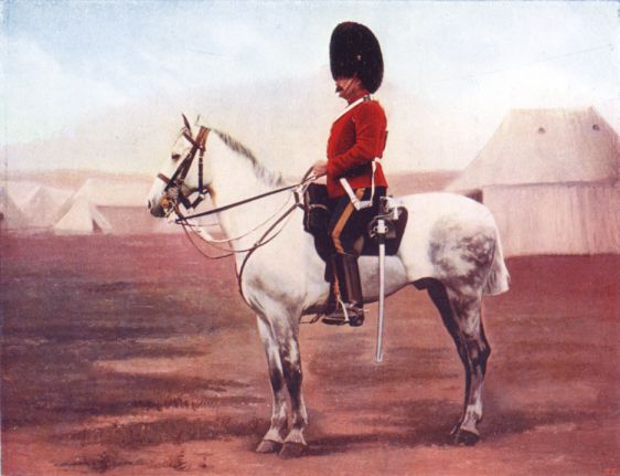 SERGEANT-MAJOR of the 2nd DRAGOONS. (ROYAL SCOTS GREYS.)