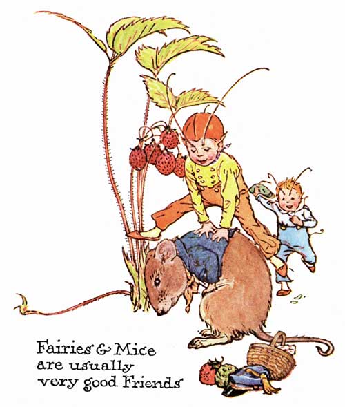 Fairies & Mice are usually very good Friends