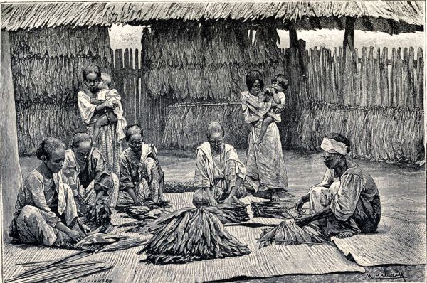 Natives preparing tobacco in Manila.