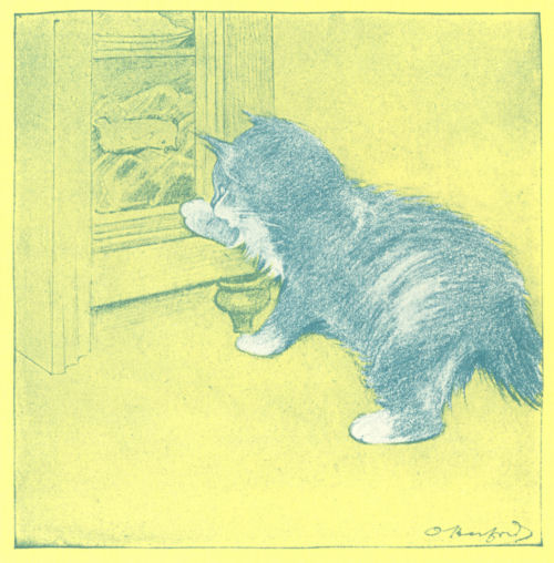 A kitten reaches for a fish in an icebox
