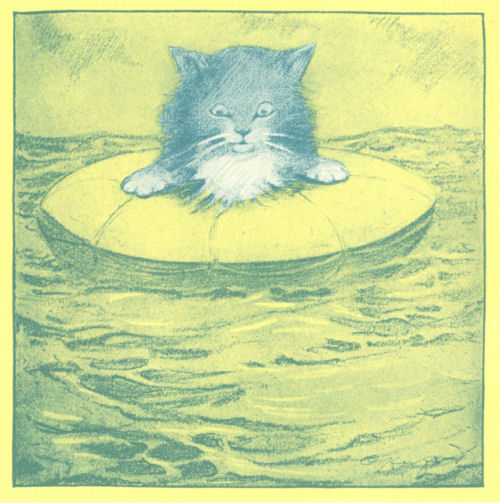 A kitten floats on the sea in a small round lifebelt