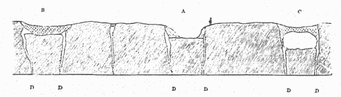 SECTION OF INLAND-ICE.