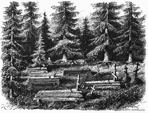 GRAVES IN THE PRIMEVAL FOREST OF SIBERIA.