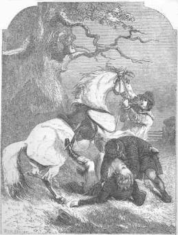 The Young Lord&rsquo;s accident