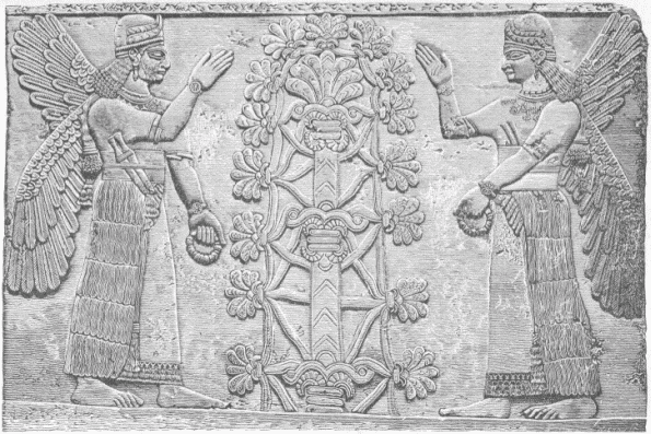 63.—FEMALE WINGED FIGURES BEFORE THE SACRED TREE. (From
a photograph in the British Museum.)