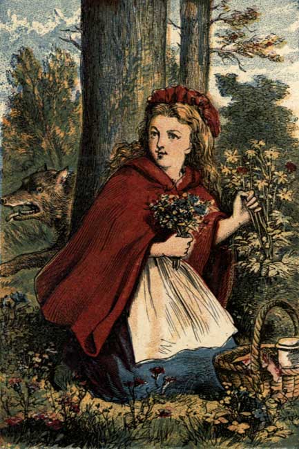 LITTLE RED RIDING HOOD GATHERING FLOWERS.