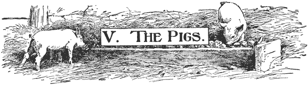 V. THE PIGS