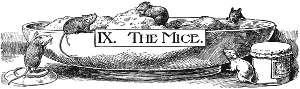 IX. THE MICE
