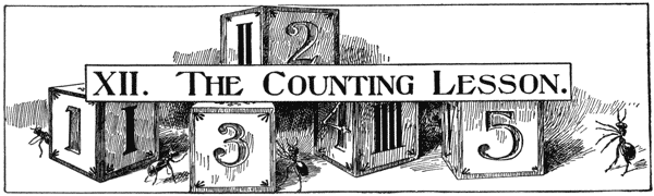 XII. THE COUNTING LESSON